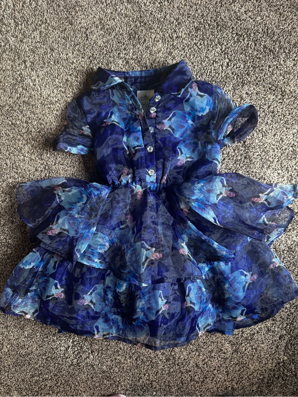 Disney Blue Floral Layered Ruffle Dress